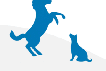 Marketing tanácsadó