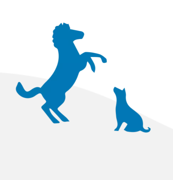 Marketing tanácsadó